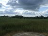 DSCF2120